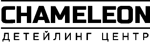 Chameleon Logo